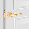 Door Lever Handles, Gold Door Handle, Door Handle, Home Decor, kitchen cabinet, kitchen hardware, Lock Handle, Door Lock, Home Improvement, Doors And Locks, interior design, Brass Rose Handle, Handle