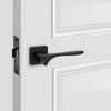 Vanguard Solid Brass Passage Interior Door Set - Lever Handles