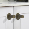 Elegant brass cabinet knob with a polished finish, perfect for a touch of luxury.
