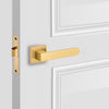 Sleek modern door handle with a minimalist design, perfect for a contemporary home
