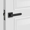 Versatile modern door knobs and pulls, suitable for both residential and commercial spaces

