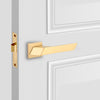 Passage Interior Door Set