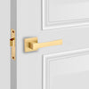  Genoa Passage Interior Door Set 