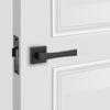  Passage Door Handle