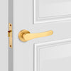  Giza Passage Interior Door Set