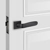  Design Max modern door lever