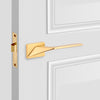  Langford Passage Interior Door Lever Set,