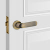 passage door lever
