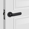 interior door hardware