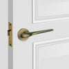 Passage Door Handle 