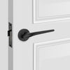 lever door handle