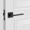 interior door set, solid brass door handle