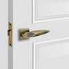 lever door handle