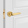 triangular rosette lever