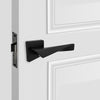 Passage Door Handle 