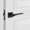 modern interior door hardware